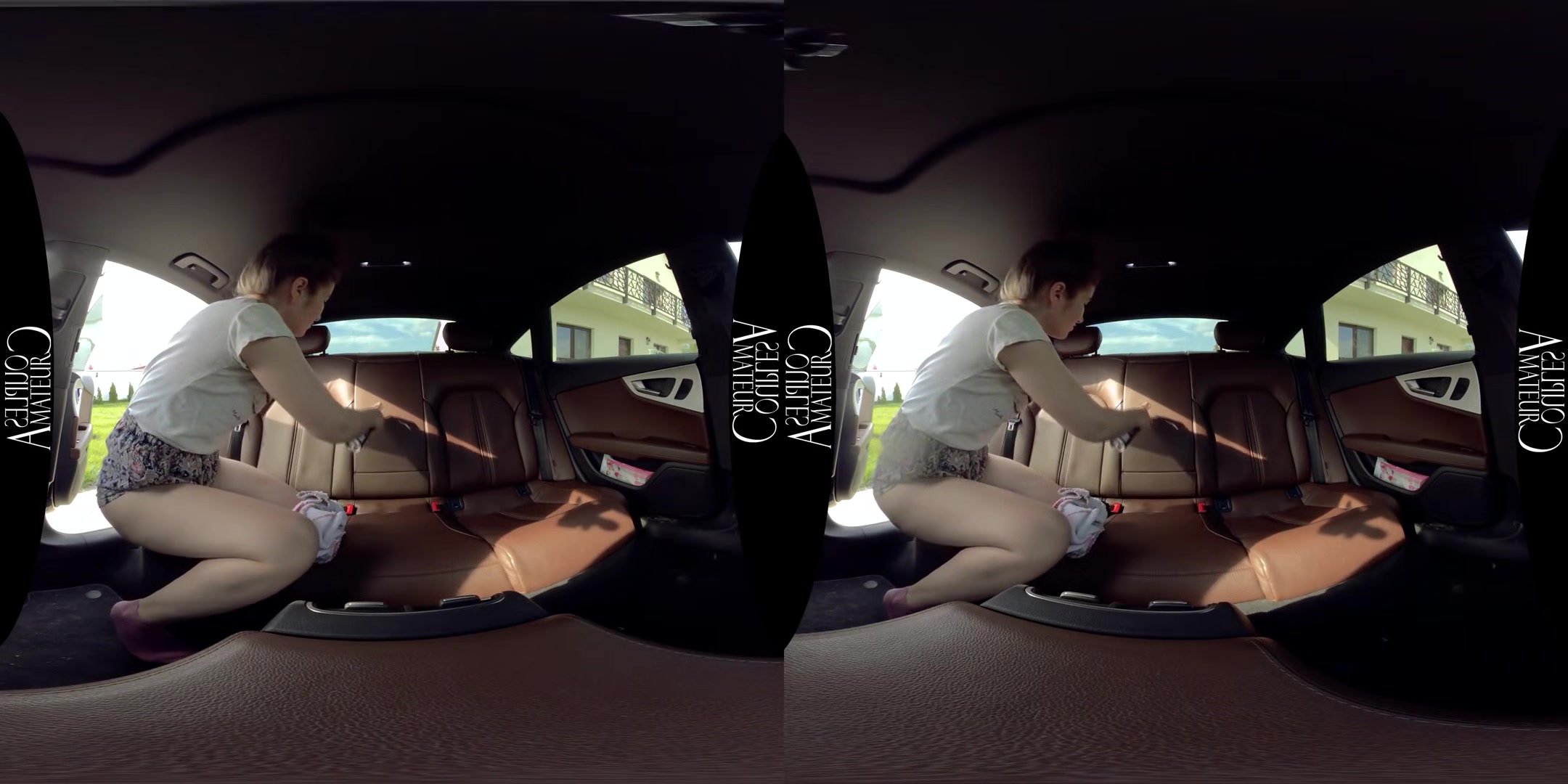 Backseat Quick Fuck - Amateur Boyfriend and Girlfriend 3D Porn