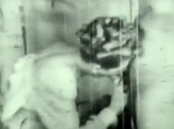 Retro Porn Archive Video: Golden Age Erotica 08 03