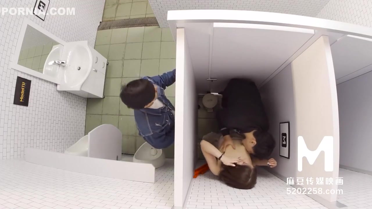 Sanitary Partitions Are Hard To Stop Passion Sex-mdwp-0022