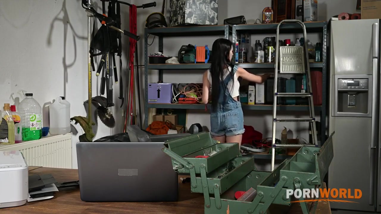 Sasha Rose - Repair Girl Gets All Holes Demolished