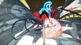 Electro torture my tiny penis feel free to humiliate it
