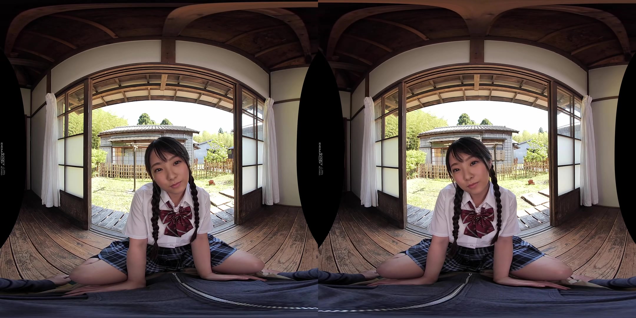 Face Licking VR - SodCreate