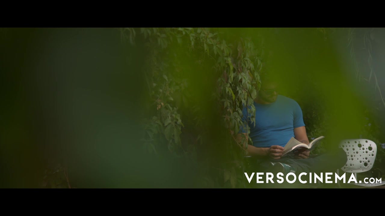 VERSO CINEMA Among The Bushes