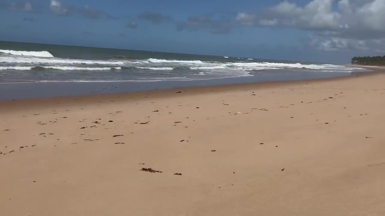 Exploring The Beach And Making A Connection