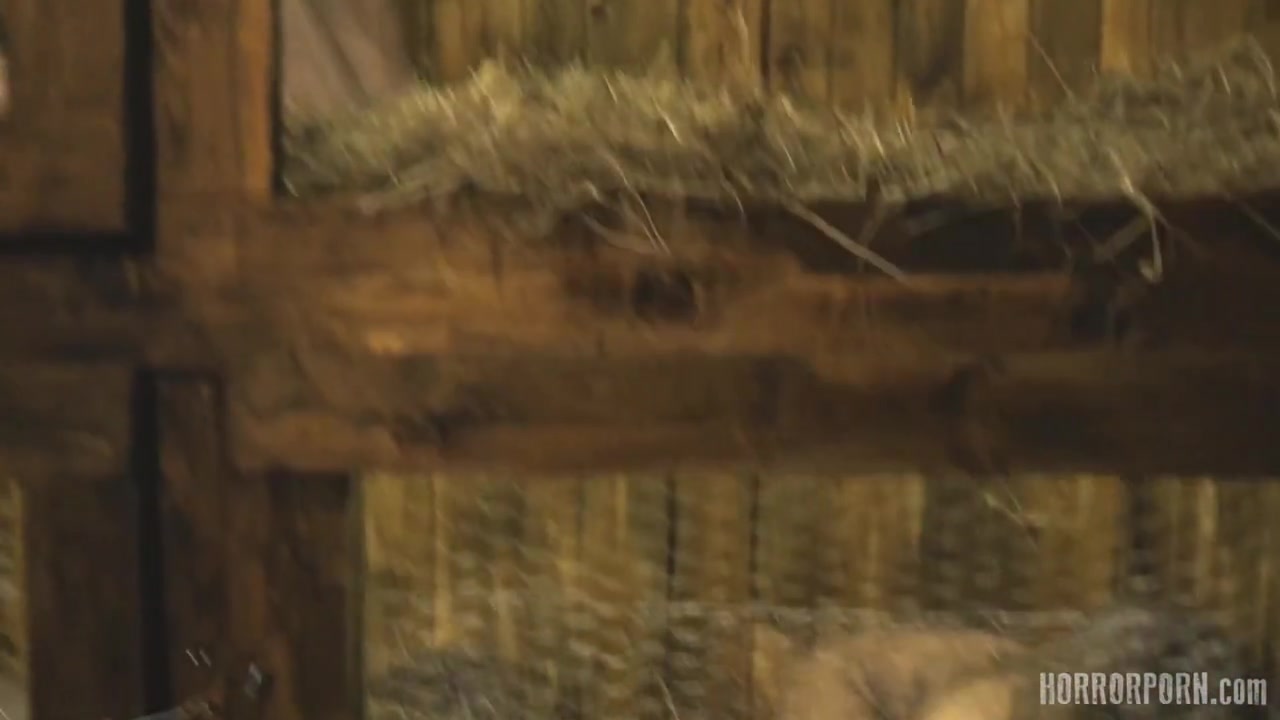 HORRORPORN - Rabbit hutch