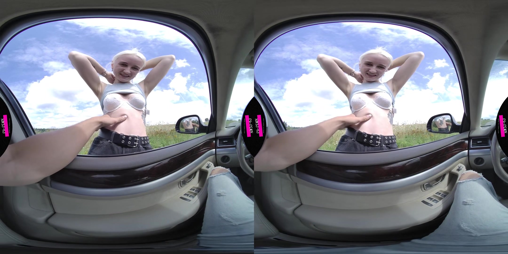 Sex In The Car And Nature With Daruma