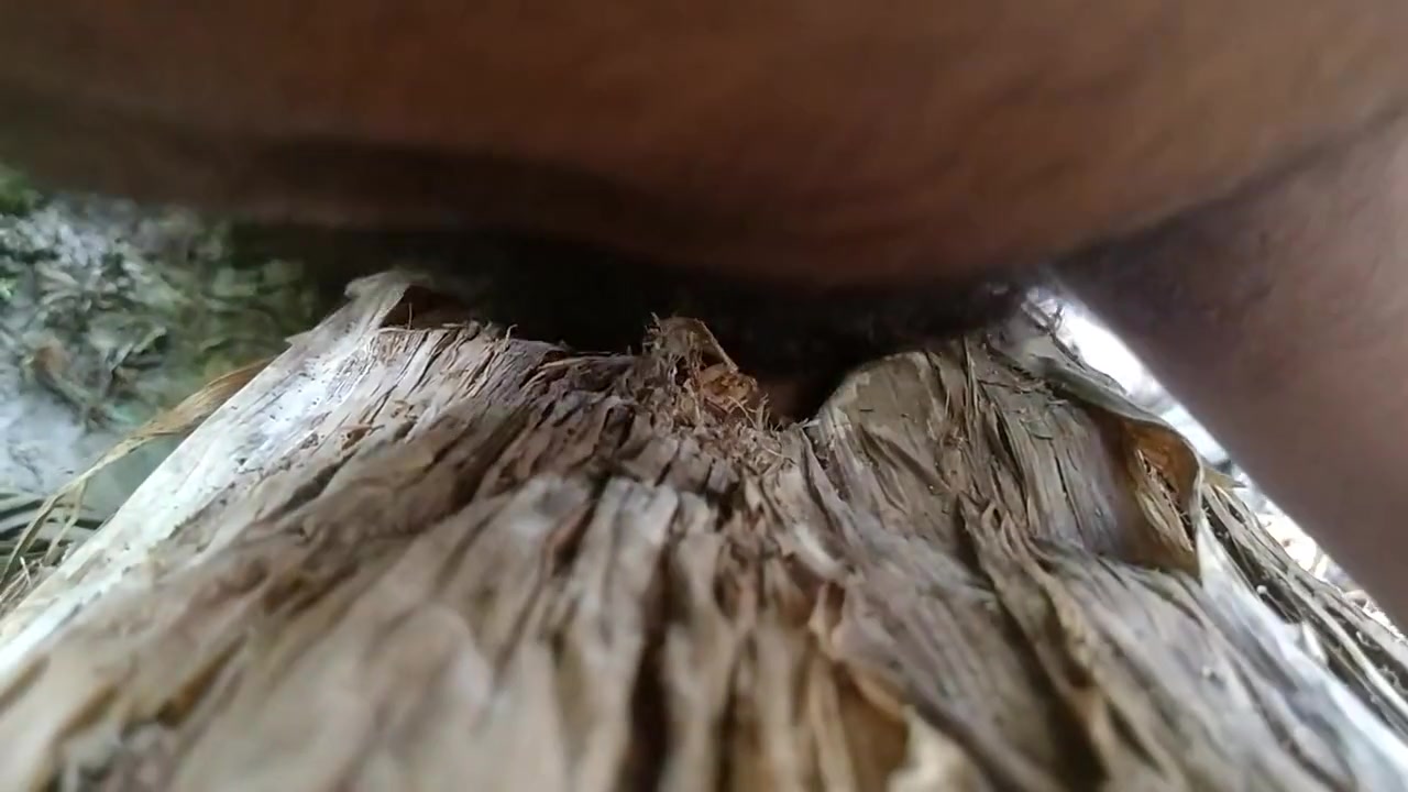 Nature Sex.. Sex With Banana Tree. Part....5