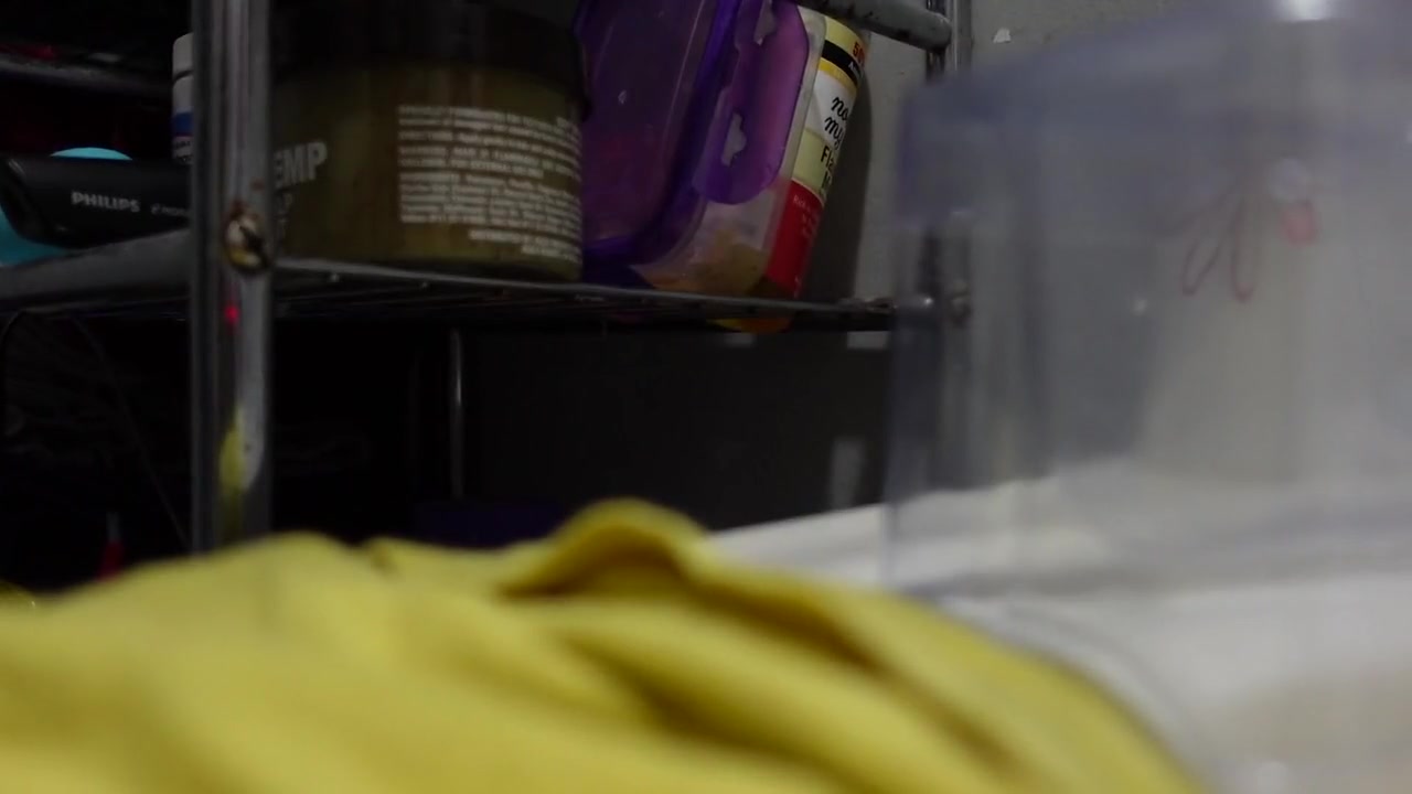 I Love Seeing My Dick Trust Inside While I Stroke It Masturbator Asmr