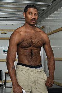 Adonis Courverture