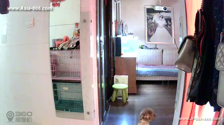 Hackers use the camera to remote monitoring of a lover's home life.316