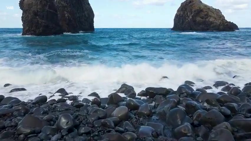 Wild And Beautiful - Irene Rouse