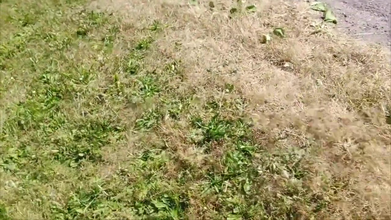 Walking Outside Flashing For Strangers In Slutty Clothes & Cumshot