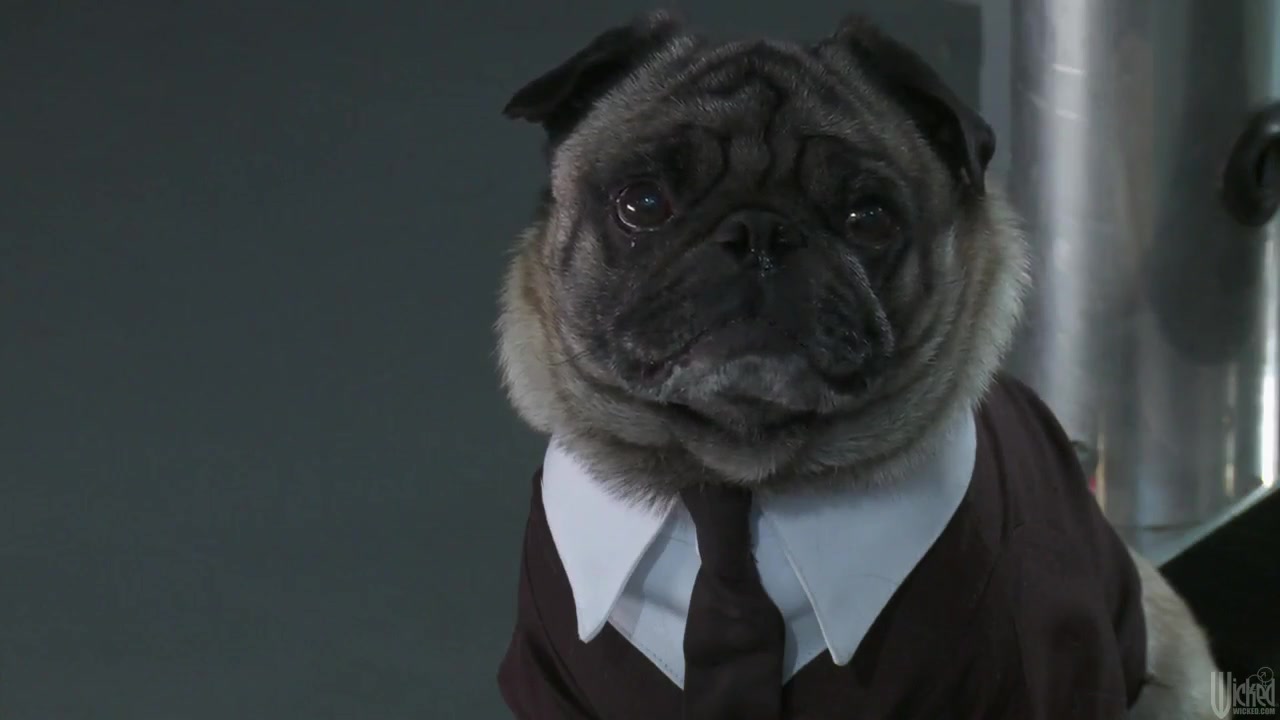 Men in Black parody with Misty and her epic rump