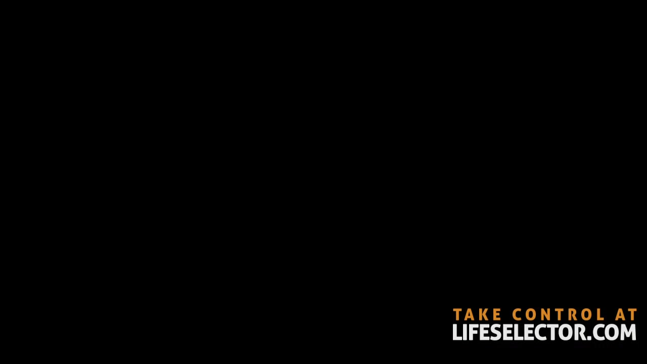 The Dirty Bureaucrat - LifeSelector