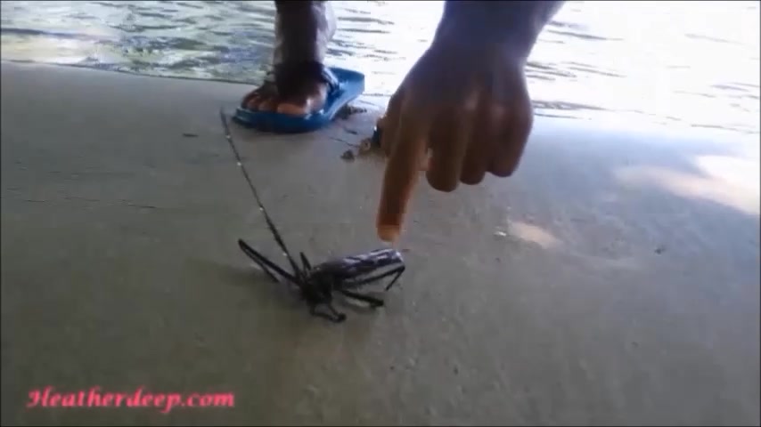 Thai teen 18+ heather goes atving in paradise and gets huge throatpie in quad
