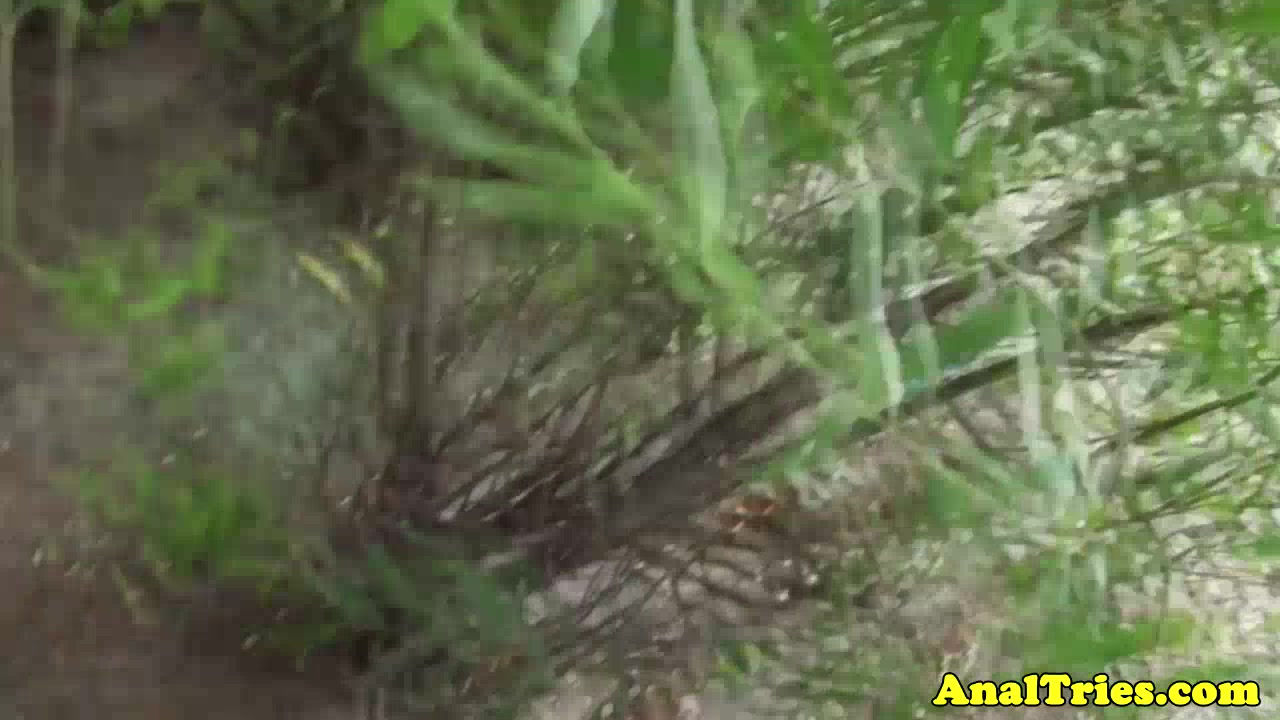 Outdoor girlfriend assfucked in park