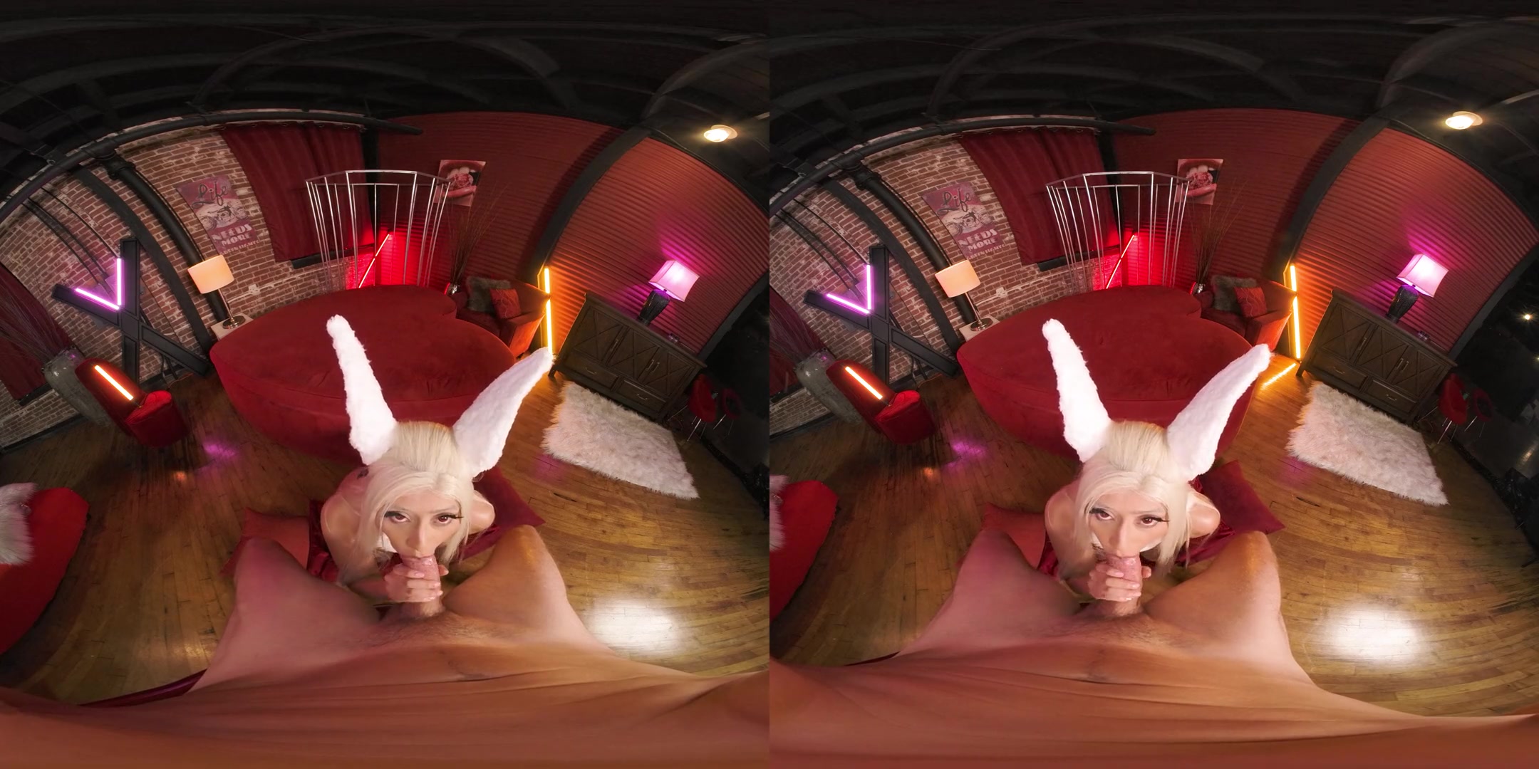 Rabbit Hero Miruko