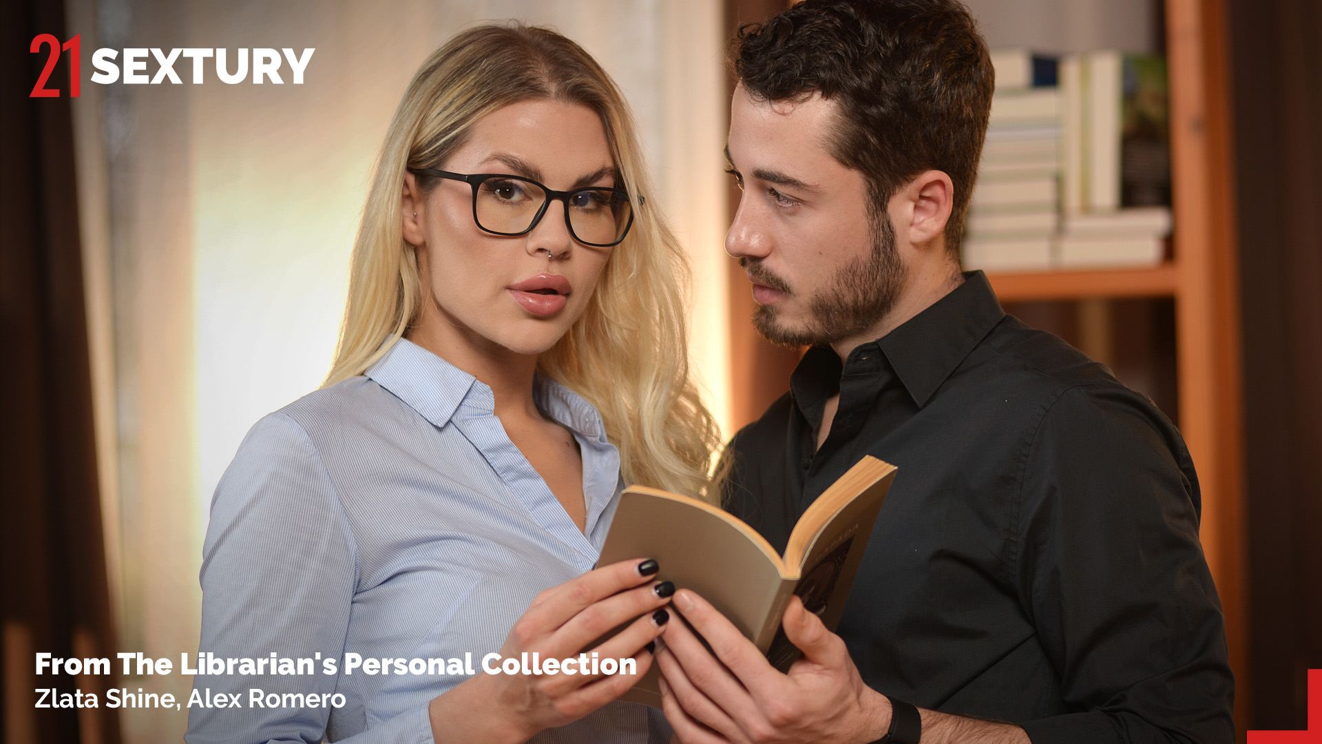 From The Librarian's Personal Collection, Scene #01
