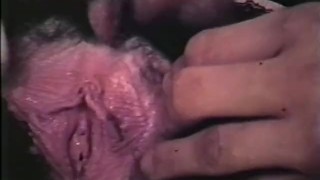 Peepshow Loops 383 1970s - Scene 1