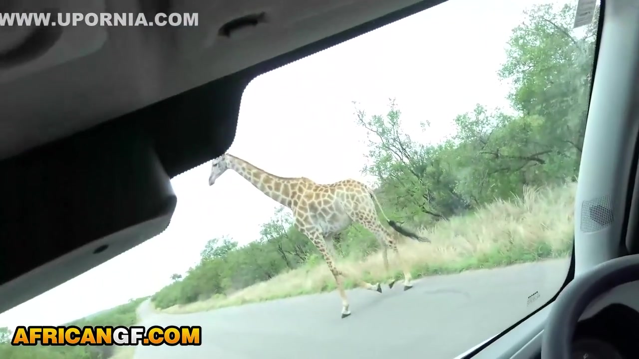 Real Footage Of My Beautiful African Girlfriend Sucking Me Off During Safari Romantic Getaway
