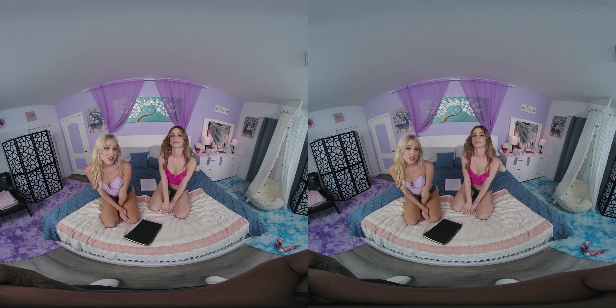 Threesome Passion: Skylar Storm and Renee Rose