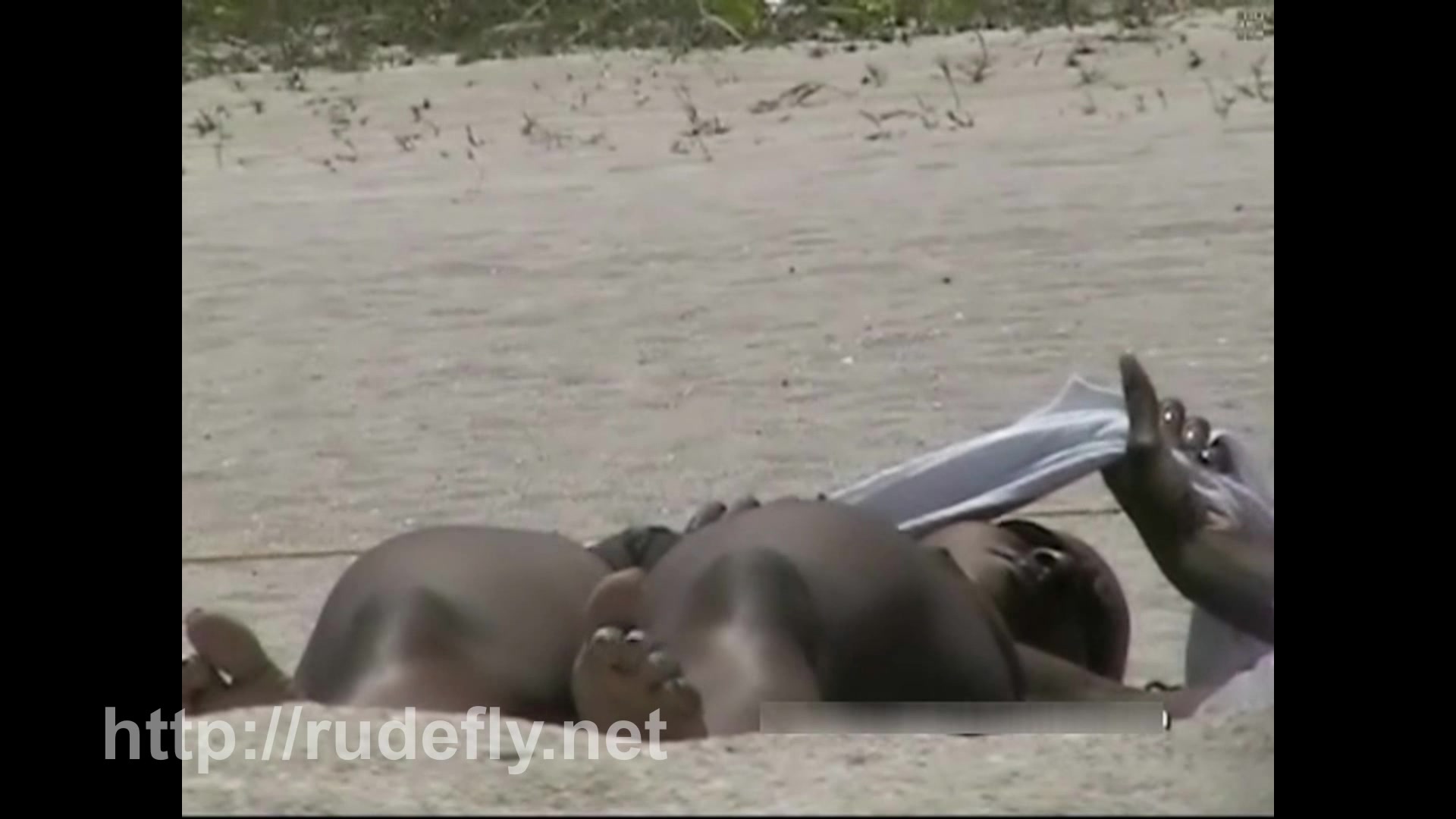 Nude beach sexy girls craze video