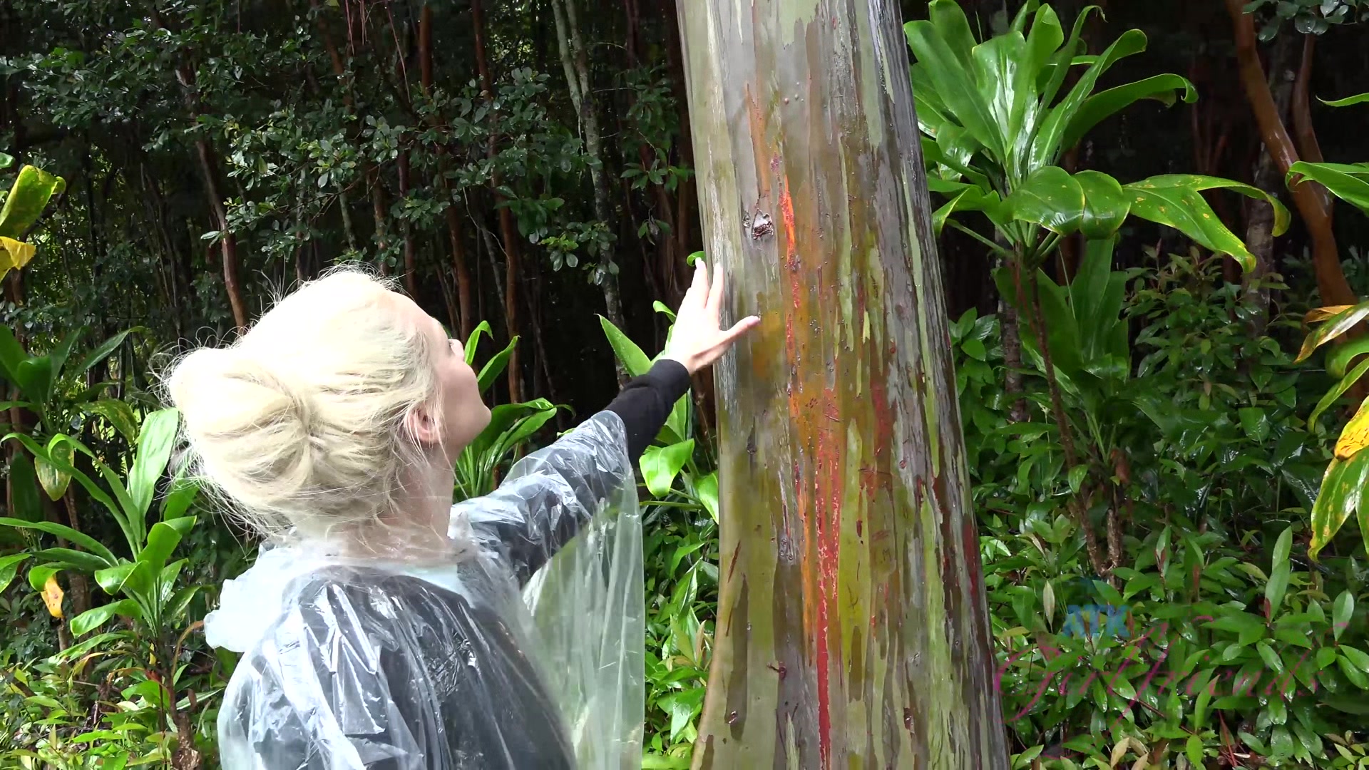 Virtual Vacation Hawaii With Elsa Jean 5/8