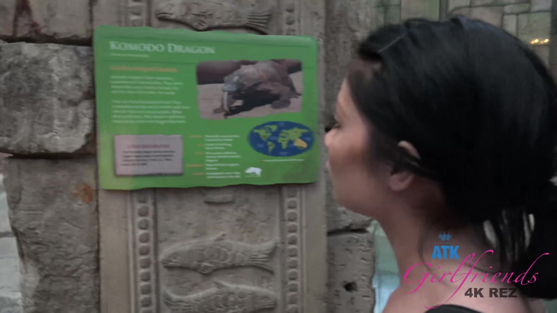Virtual Vacation In Las Vegas With Rina Ellis Part 1