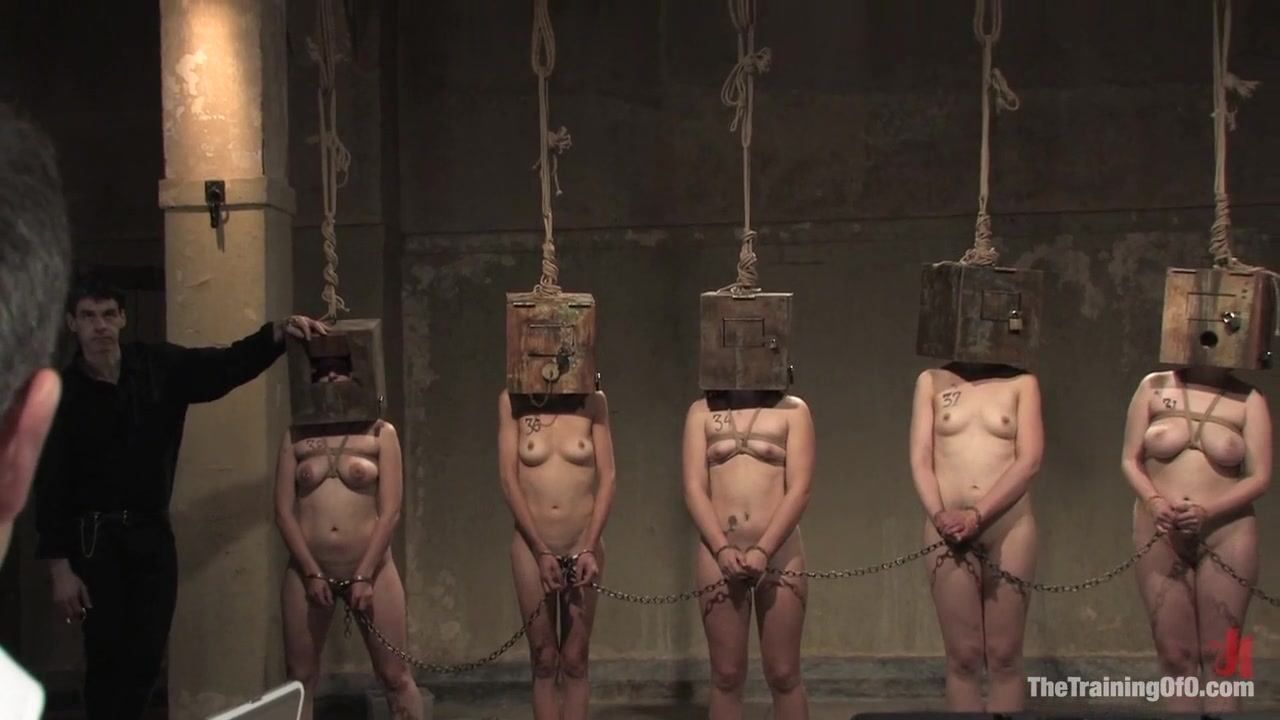 The Auditons Three - TheTrainingofO