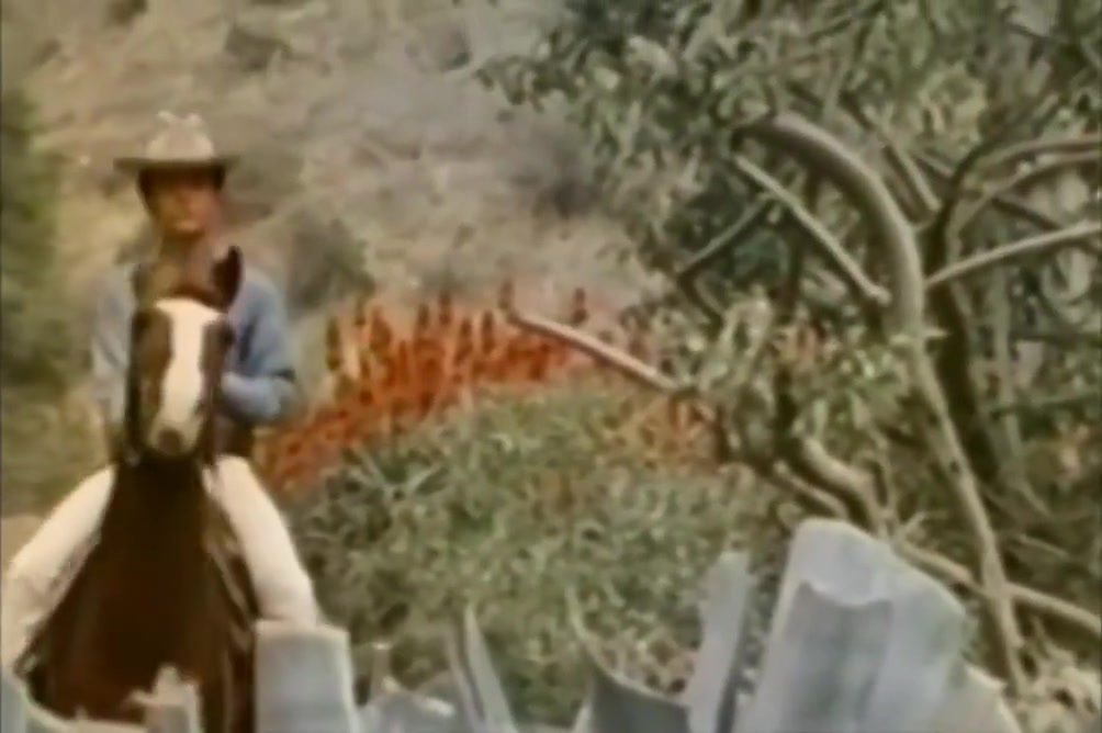 The Magnificent Cowboys 1971 Complete Clip