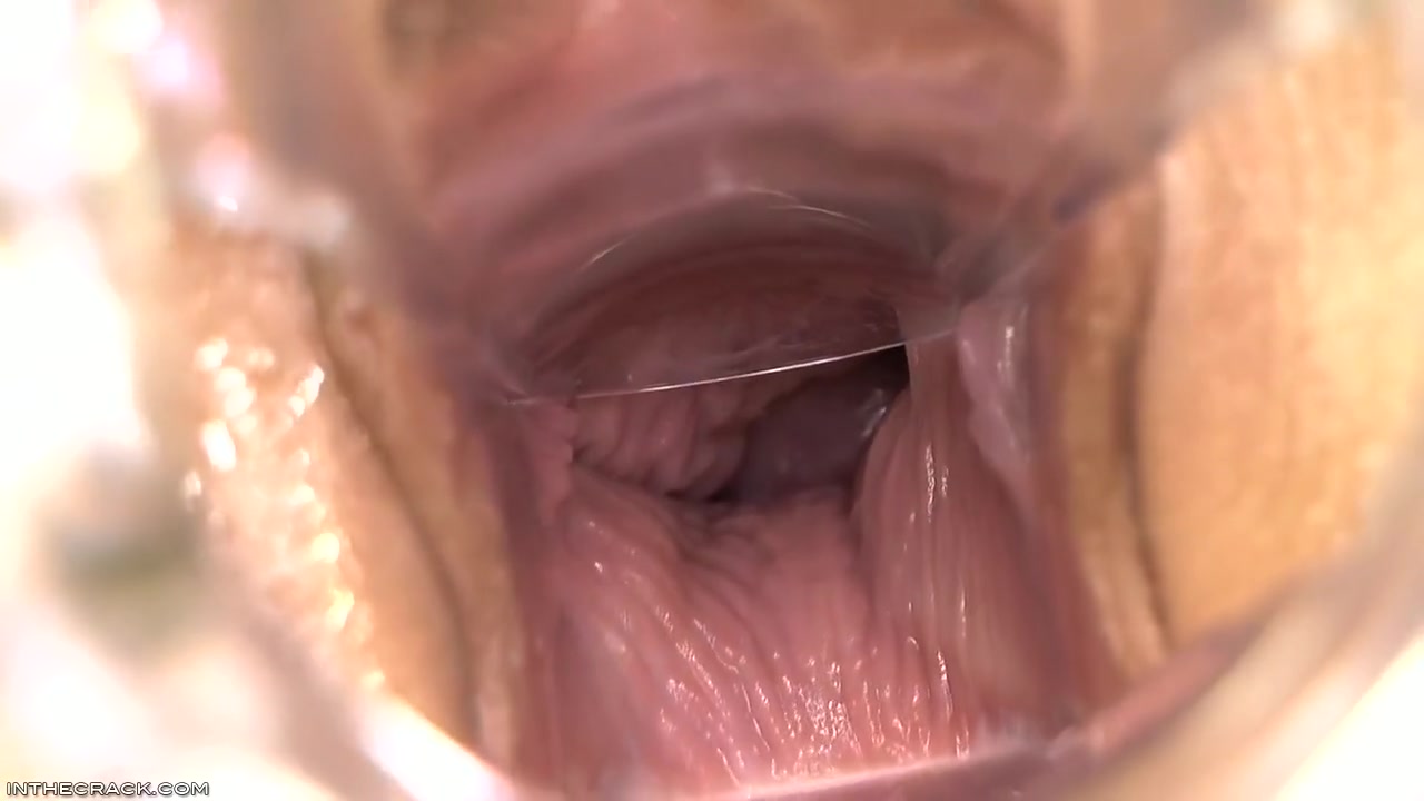 Inside Elisa