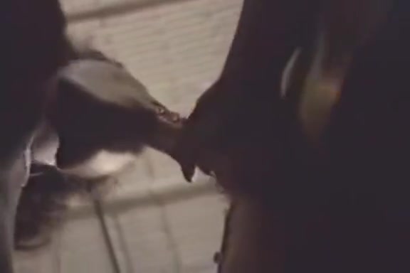 Domonique Simone, Derek Lane, Randy West in Ron Jeremy fucking big breasted ebony babe