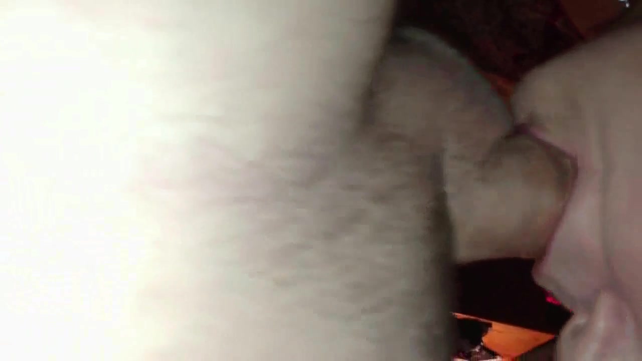 I Dream Of Cream... Pie! - Pt1 Hot Cock Sucking - BustyBliss