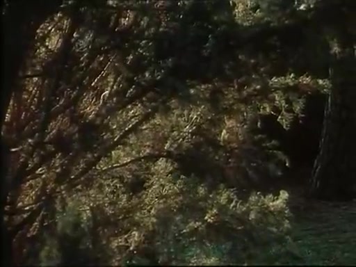 Cicciolina, Baby Pozzi, Gabriella Mirelba in vintage xxx scene