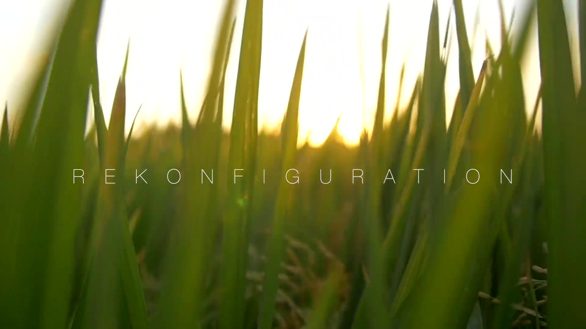 Rekonfiguration By Cipriani Un Viaje Mental - Cristiancipriani