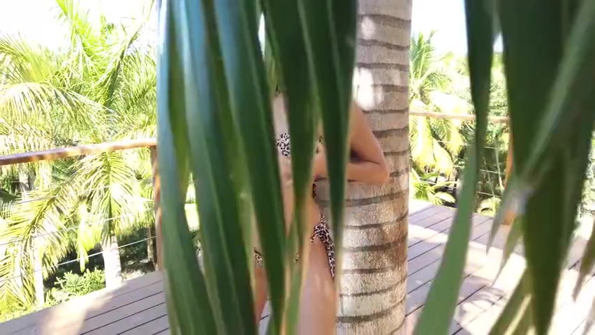 Maria Big Palm Tree