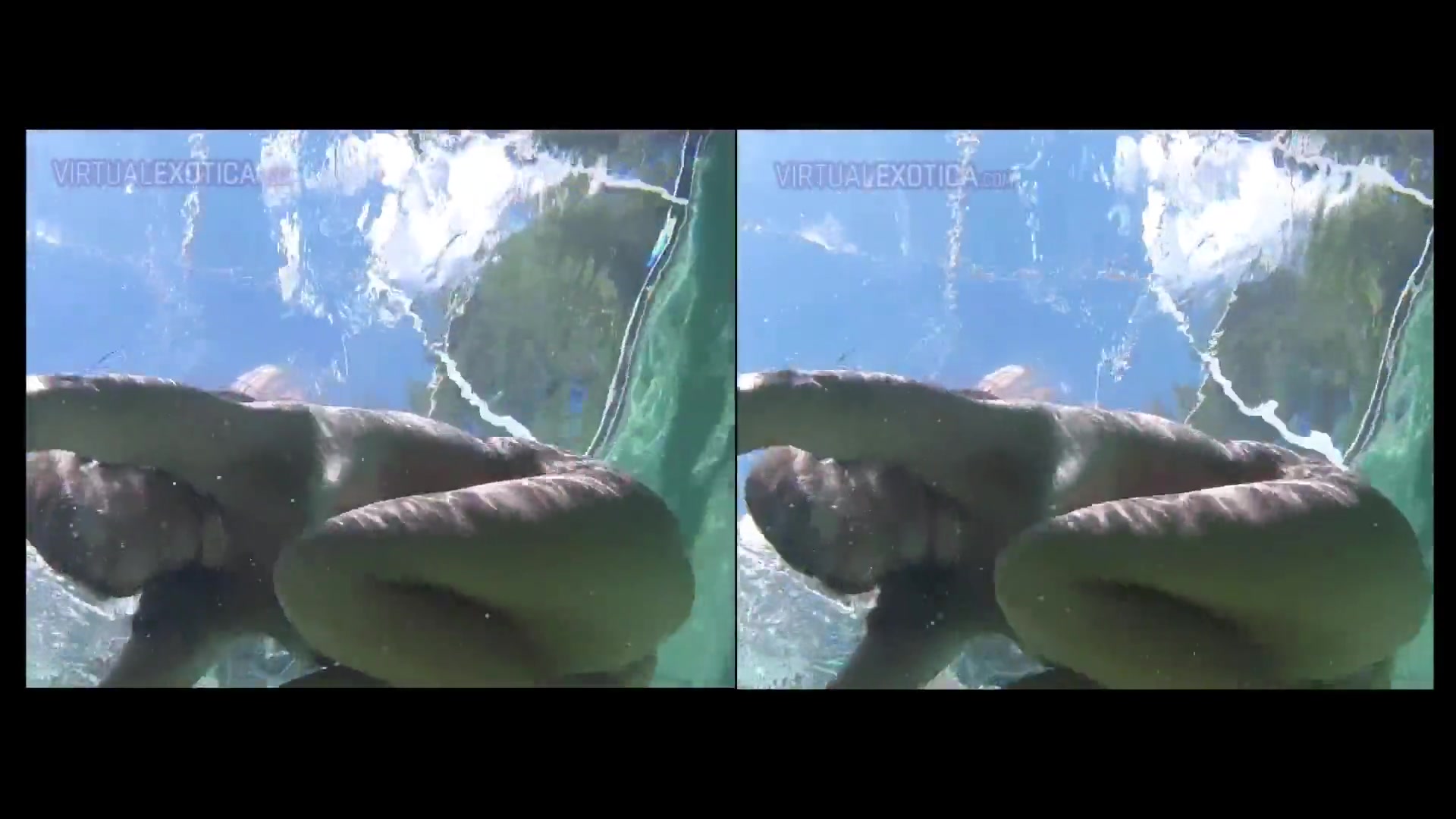 PAWG MILF Nude Underwater & Body Worship - SexLikeReal