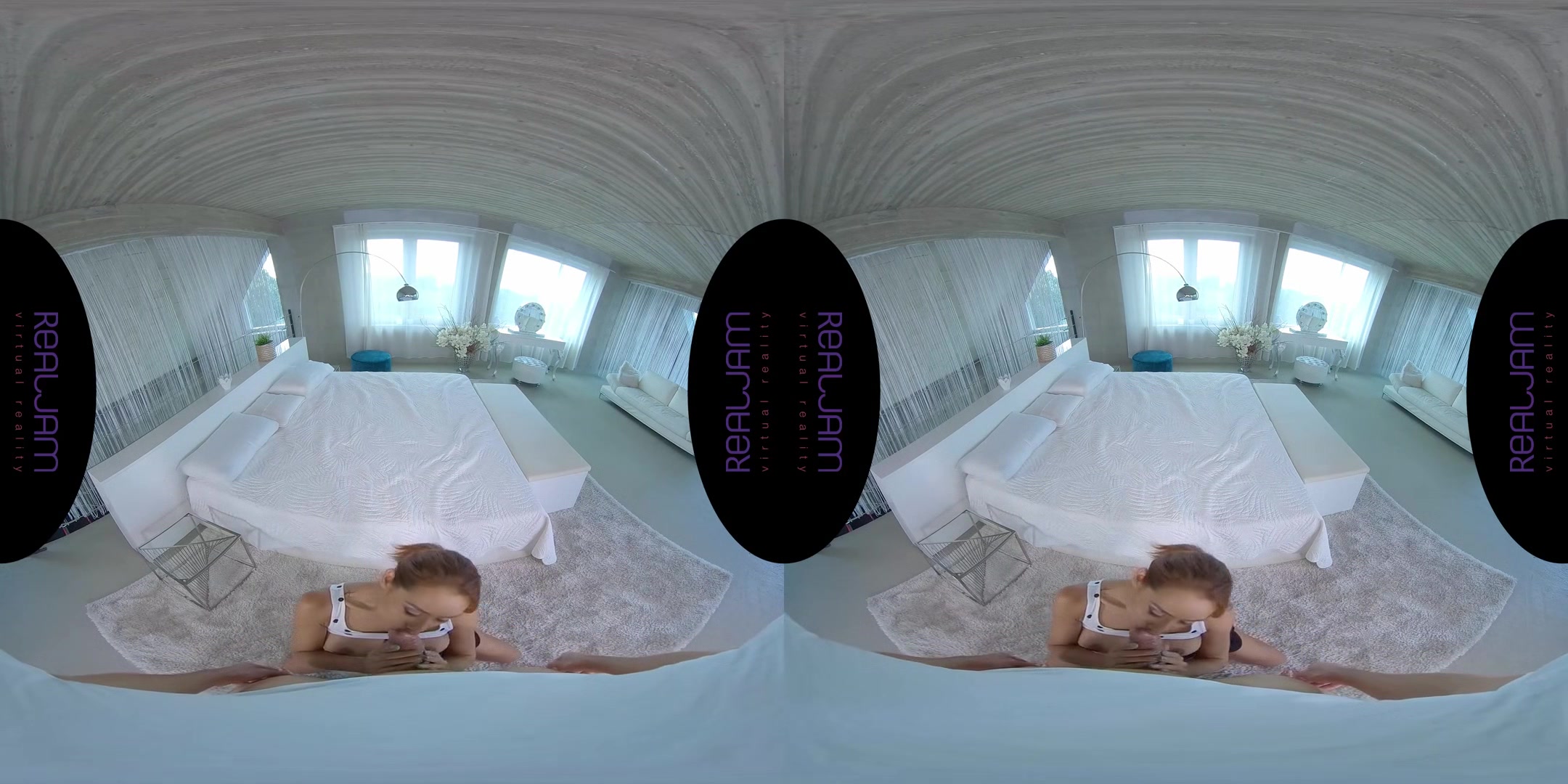 Veronica Leal Compilation - Pornstar Compilation VR