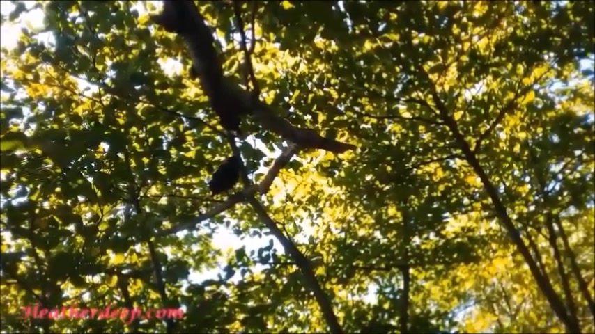 Thai teen 18+ heather goes atving in paradise and gets huge throatpie in quad