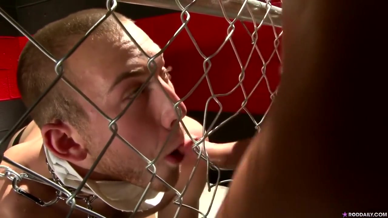 A Glutton For Punishment - Rod Daily And Cody Allen