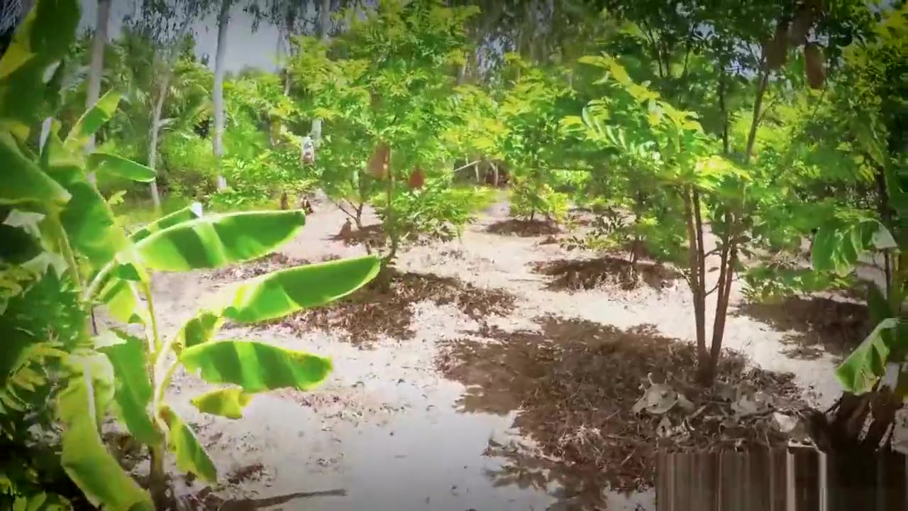 Our First Filmed Outdoor Fuck