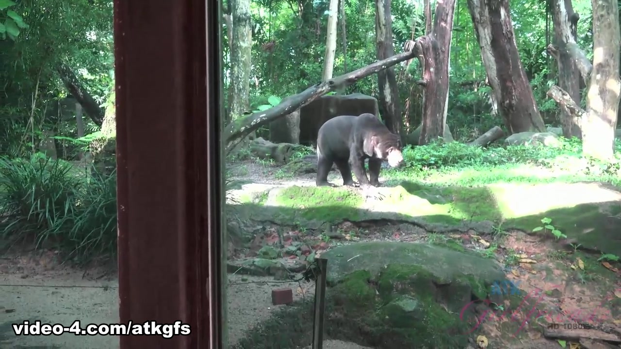 Gia Paige in Gia Gets Up Close To Some Cute Animals At The - ATKGirlfriends