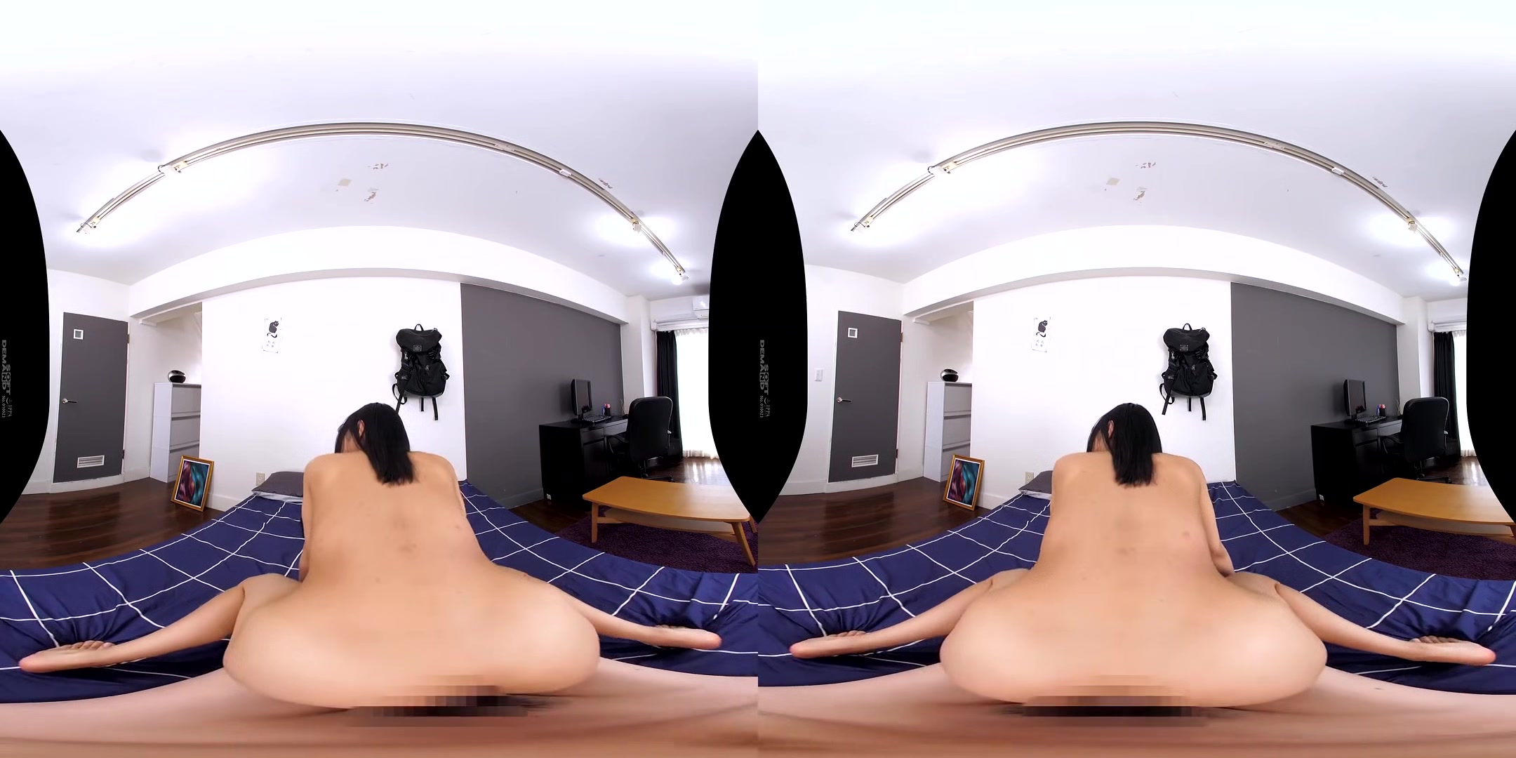 The Barrier in My Room VR: We're Doing What I Want While We're Here!; Japanese Harem POV VR