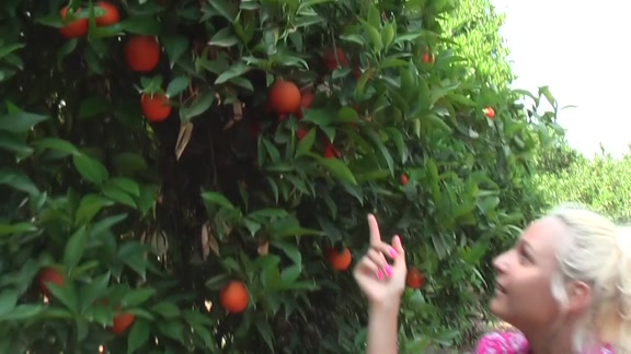 They fuck near the orange tree