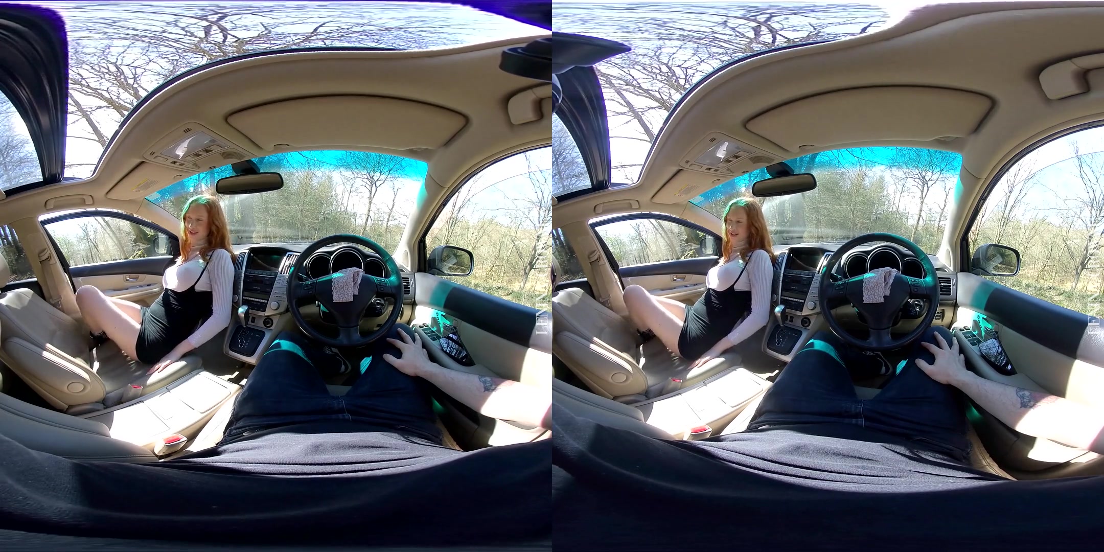 Sucking Dick on a Sunday Drive