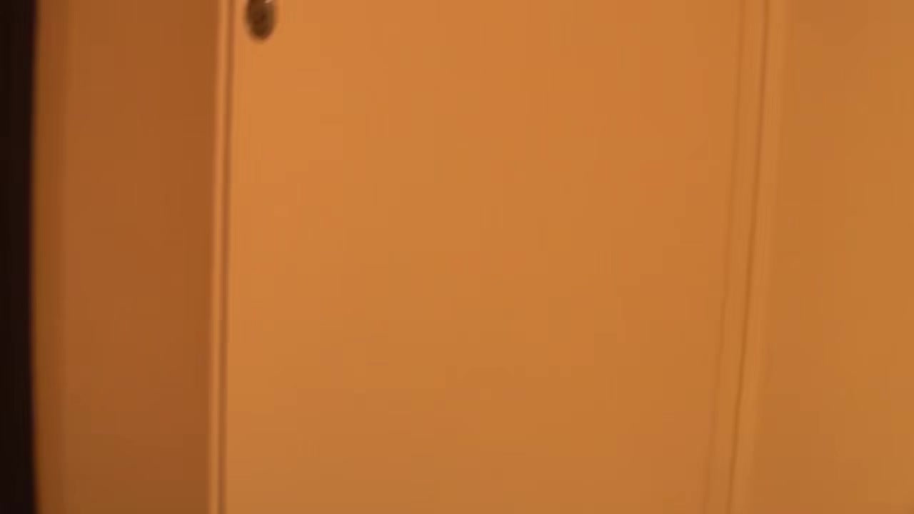0002699_Japanese_Censored_MGS_19min