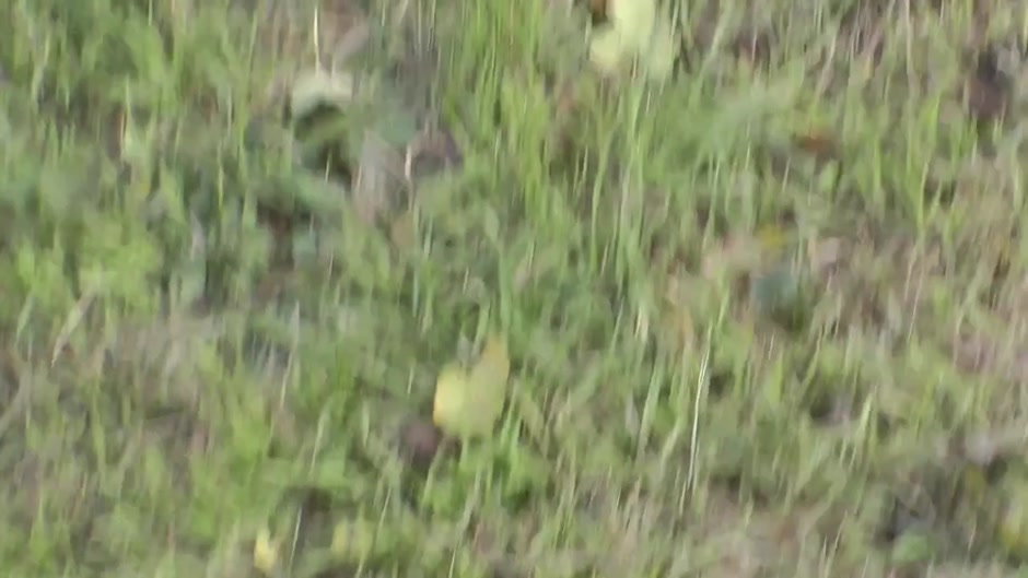Hot slut sucks and fucks in the outdoors