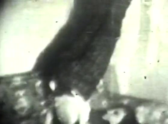 Retro Porn Archive Video: Golden Age Erotica 01 06