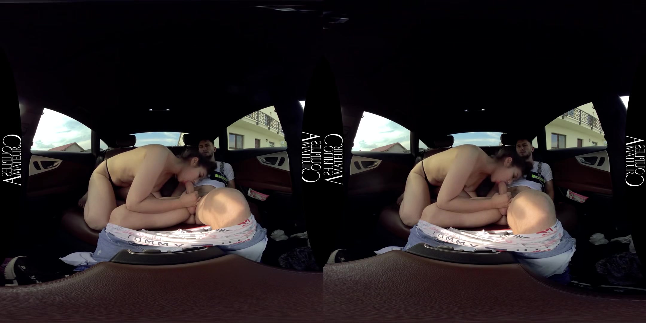 Backseat Quick Fuck - Amateur Boyfriend and Girlfriend 3D Porn