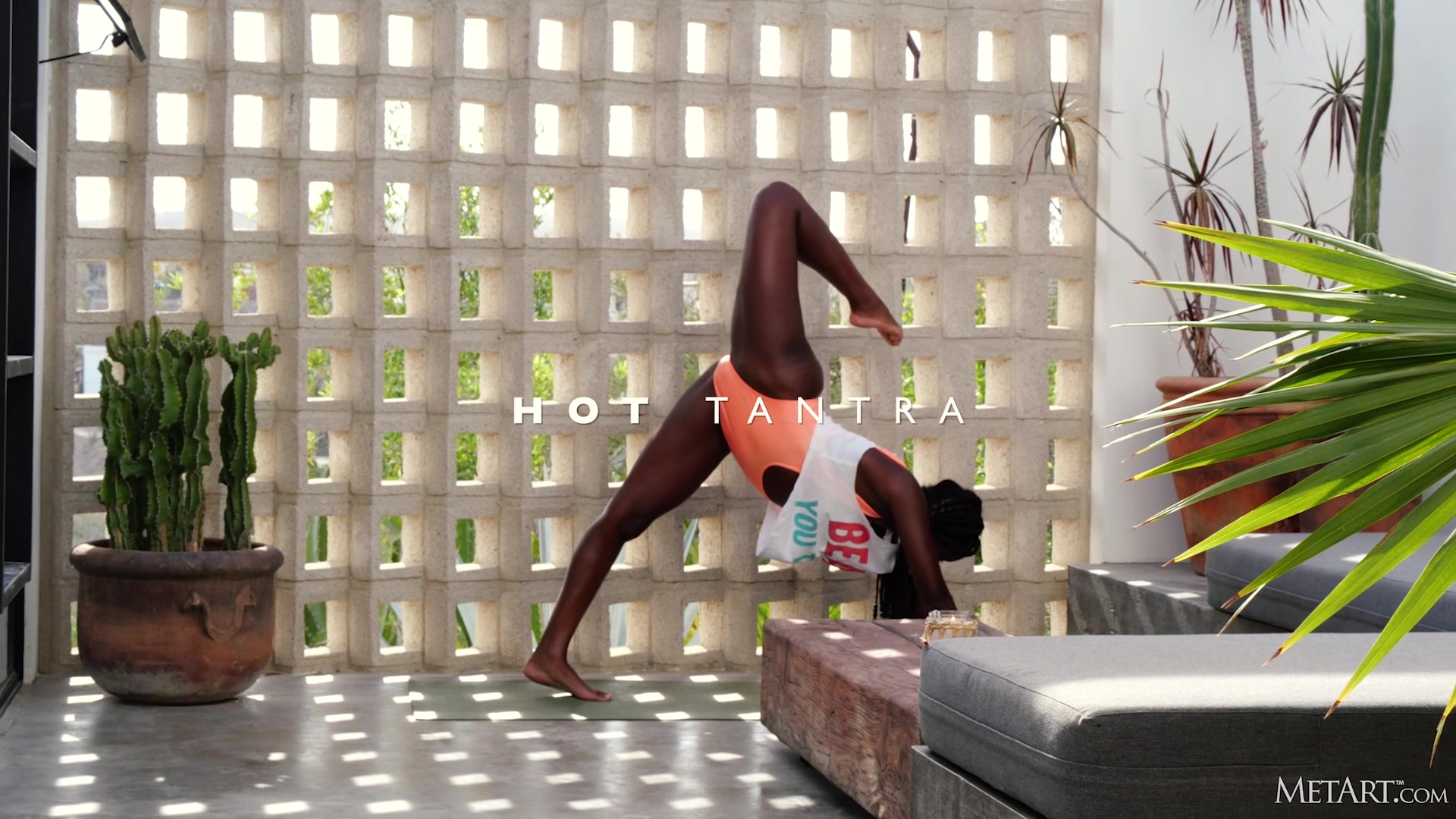 Hot Tantra - Dakota Simone